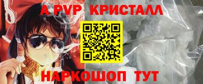 ECSTASY Аргун