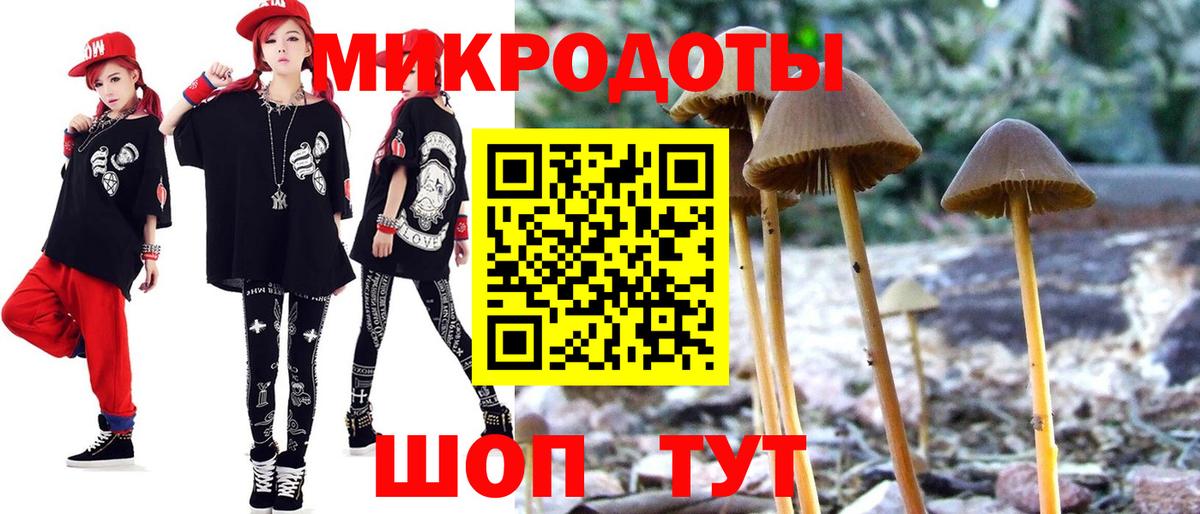 дарнет шоп  Вход с VPN  Верхняя Салда  Галлюциногенные грибы Psilocybe 