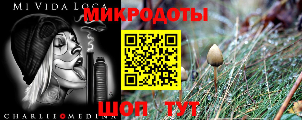 Псилоцибиновые грибы GOLDEN TEACHER Верхняя Салда